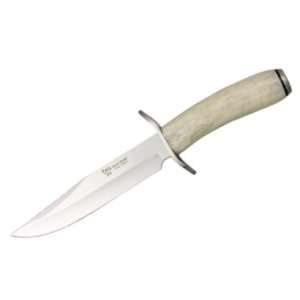   Knife with Polished Genuine Stag Handle & Stainless Steel Guard/Pommel
