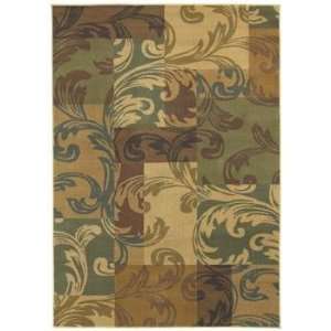  Shaw   Transitions   Giselle Area Rug   78 x 1010 