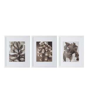  3 in 1 Wall Art Decor with White Frame and Mat   Poised 16 