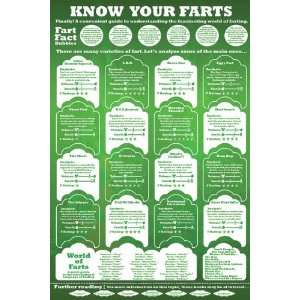  Humour Posters Farts   Know Your Farts   35.7x23.8 inches 