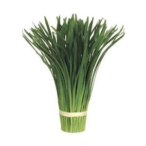  Club Pack of 12 Small Artificial Onion Grass Bouquet Holders 12 