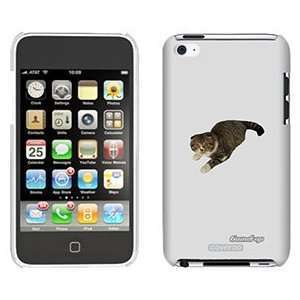  Scottish Fold on iPod Touch 4 Gumdrop Air Shell Case 
