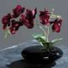   in schwarzer Keramikschale Kunstblume Kunstpflanze mini 20 cm rot