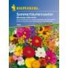 Blumenmischung Balkonkastenblumen pflegeleichte Sonnenkinder Mischung 