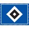 Hamburger SV   HSV   Auto Aufkleber   Schriftzug klein    