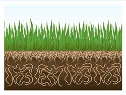 Soil life is damaged or destroyed by chemical fertilizers, pesticides 