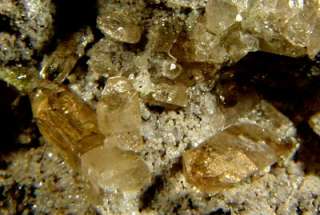 12 Light Sherry TOPAZ Crystals on 4 Matrix Topaz Mt UT  