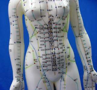 weibliches Akupunktur Modell Figur zum lernen der Meridiane 