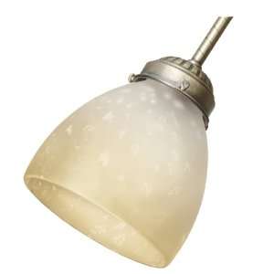  Hunter Fan Company 28891 Goblet Accessory Glass Fan Light 