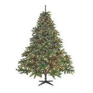   Douglas Fir Artificial Christmas Tree   Clear Lights