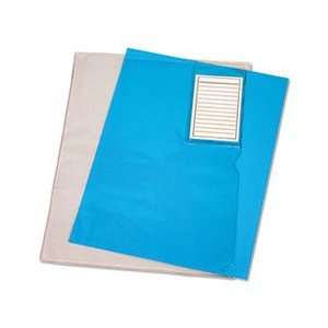    Vinyl File Folder, Clear, Letter with Pocket