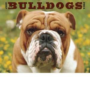  Just Bulldogs 2011 Wall Calendar