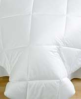 Martha Stewart Collection Bedding, Allergy Wise Comforter