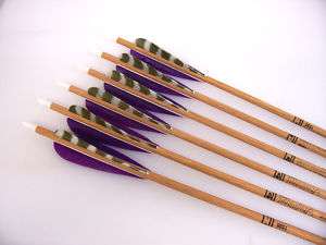 Gold Tip Traditional Arrows w/Purple Feathers (7595)  