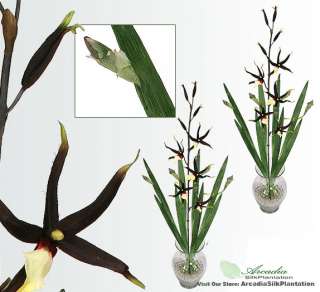 TWO 39 Gongora Orchid Artificial Flower Silk Plant BR  