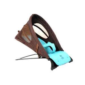  Chocolate and Turquoise Baby Bouncer Baby