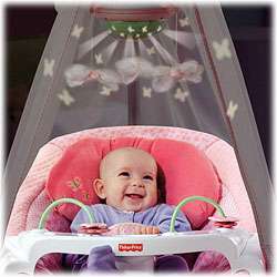 Twin Baby Gear   Fisher Price Papasan Cradle Swing, Butterfly Garden