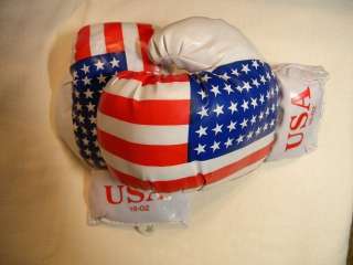 American Flag USA 10 Ounce Kids Boxing Gloves  