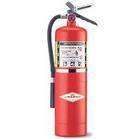 10 lb fire extinguisher  