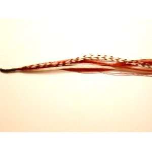   Feather Hair Extension with Tinsel (Candy Cane Bling Bundle) Beauty