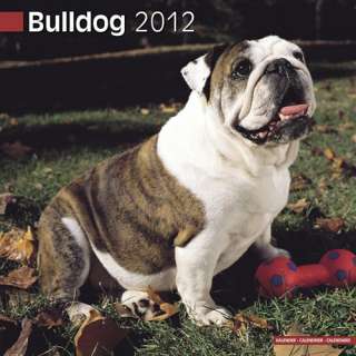 Bulldog 2012 Calendar   NEW Bulldogs  