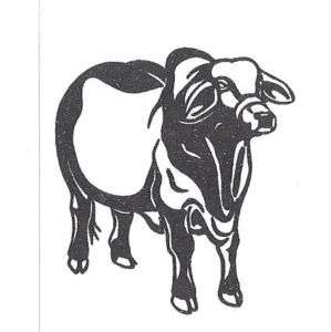 Brahma cow Decals  