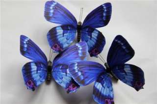 Butterfly Wedding Favor / Home DecorationRoyal Blue  