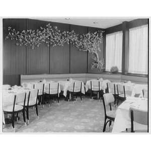   Country Rd., Westbury, Long Island. Chinese tree in dining room 1960
