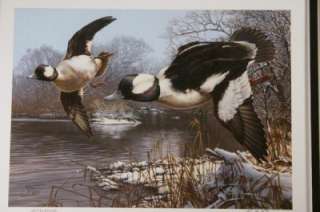 DUCKS UNLIMITED 2006 Scot Storm 23rd Annual Stamp Print  