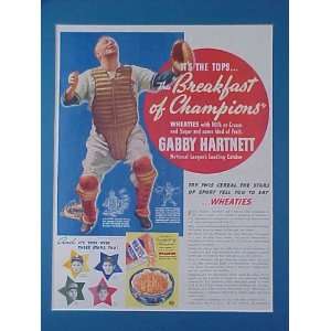 Gabby Hartnett Chicago Cubs NL Leading Catcher 1938 Wheaties 