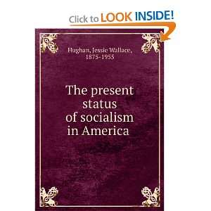   status of socialism in America  Jessie Wallace Hughan Books