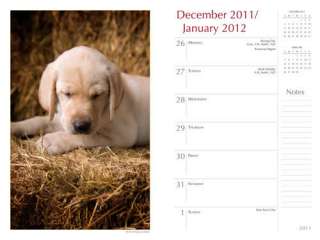 Pooped Puppies 2012 Weekly Engagement Diary   NEW  