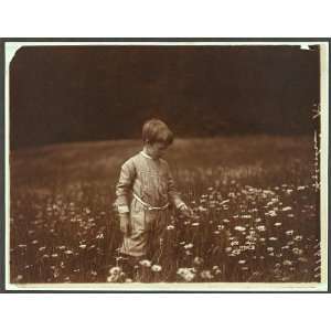  Quentin picking daisies,Theodore Roosevelt,family,play 