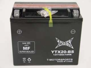 Harley Davidson 1000 1100 1200 1340 Buell Indian VF1100C Battery YTX20 