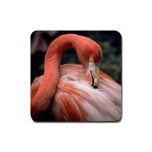  Flamingo Rubber Square Coaster (4 pack)