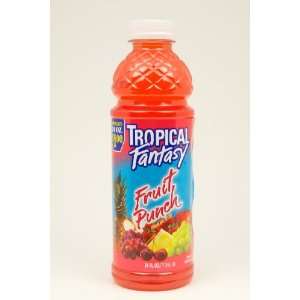 Tropical Fantasy Fruit Punch Cocktail Juice 24 oz  Grocery 