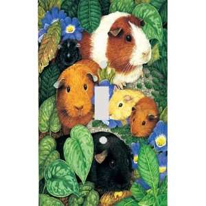  Guinea Pigs Decorative Switchplate Cover