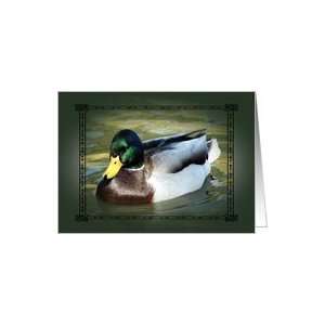  Happy Birthday ~ Mallard Swimming in Creek Card Health 