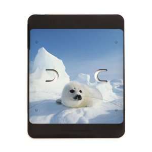  iPad 5 in 1 Case Matte Black Harp Seal 