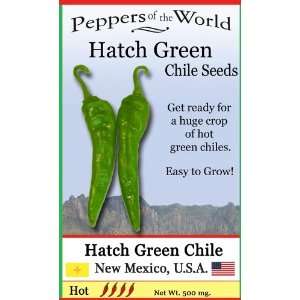 Hatch Green Chile Seed   Hot   30 Seeds   Heirloom   Easy to Grow 