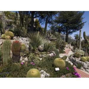  Botanic Garden (Jardin Exotique), Eze Village, Alpes 