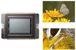The large format, high resolution CMOS sensor captures a staggering 6 