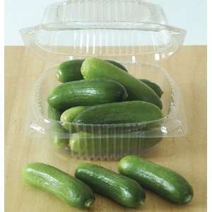  Davids Hybrid Cucumber Rocky 8 Seeds per Packet Patio 