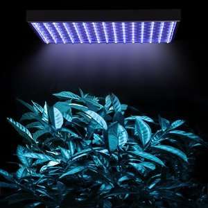  225 LED Hydroponic Light System Blue White Automotive