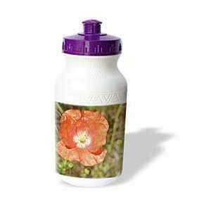   Iceland Poppy in Spring  Flowers  Floral Photography   Water Bottles