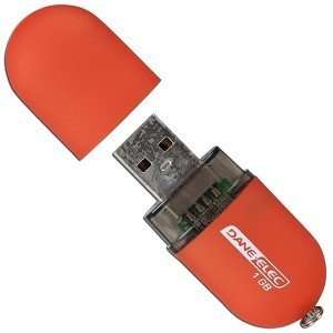   Dane Elec zMate 1GB USB 2.0 Flash Drive (Orange) Electronics