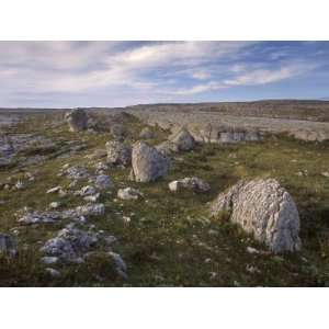  Limestone Plateau, Karstic Landscape, Burren Region 