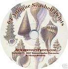 SEASHELLS CD vintage images beach art antique prints Victorian 