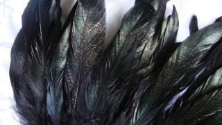 20 ~ 6 8 STARDUST BLACK ROOSTER COQUE TAIL FEATHERS  
