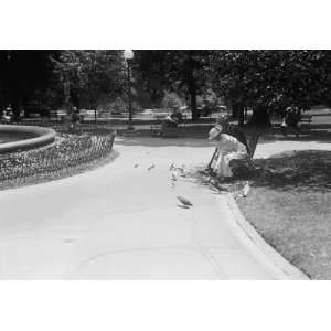   OF COLUMBIA PARKS. FEEDING PIGEONS IN THE PARKS